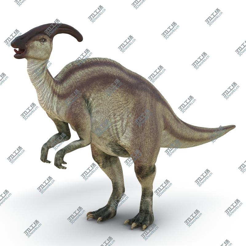 images/goods_img/202105071/Parasaurolophus Rigged for Maya/5.jpg